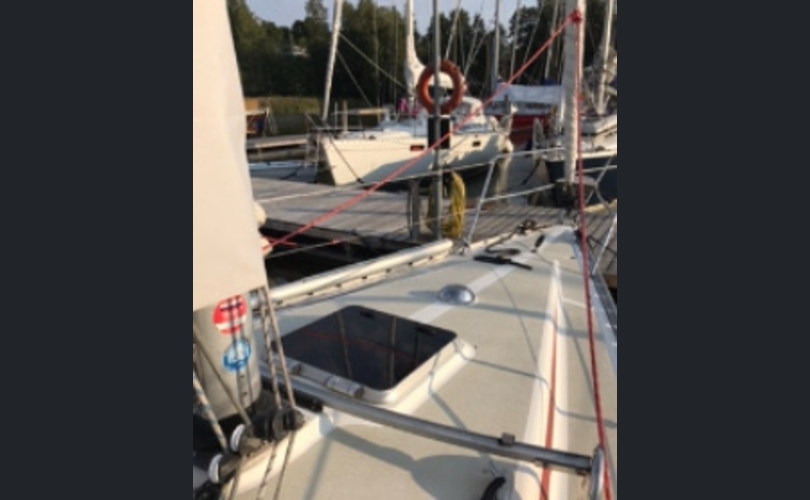 Finngulf Seaking-kuva-5